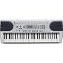 Casio LK-45 Lighted Keyboard with 61 Full-Size Keys and Musical Information System