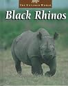 Black Rhinos (Untamed World)