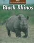 Black Rhinos (Untamed World)