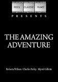 The Amazing Adventure (1917)