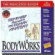 BODYWORKS 6