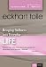 Bringing Stillness into Everyday Life (DVD)