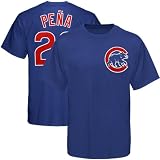 MLB Majestic Chicago Cubs #22 Carlos Pena Royal Blue Player T-shirt (Large)