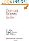 Counseling Multiracial Families (Multicultural Aspects of Counseling And Psychotherapy)