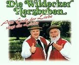 Am Ende der Liebe Siegt die Li - Wildecker Herzbuben