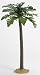 Set of 2 Fontanini 12 Palm Trees #52931
