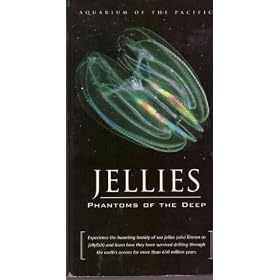 Jellies - Phantoms of the Deep (Jellyfish)