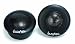 In Phase Xt1 200w Max Power 38mm Silk Dome Tweeter