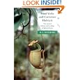 Food Webs and Container Habitats: The Natural History and Ecology of Phytotelmata by  R. L. Kitching