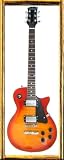 Professional Fire Orange Electric Guitar