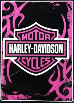 Harley-Davidson Motorcycles Royal Plush Raschel Twin Size Throw Blanket