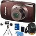 Canon PowerShot ELPH 500 HS 12 MP CMOS Digital Camera with Full HD Video and Ultra Wide Angle Lens Brown Bundle w/ 8GB Memory, Card Reader, Deluxe Case, Mini Tripod and Cleaning Kit