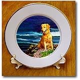 Dogs Golden Retriever - Golden Retriever - Plates
