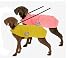 Pet Supplies : Designer Dog Coat (D.O.G.) - Yellow Spring Dog Raincoat - X-Small (XS)