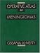 Book Operative Atlas of Meningiomas (Books)