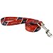 Houston Texans Red 6' Leash