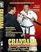 Chanbara Mixed Weaponry Training DVD