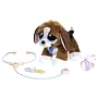 Rescue Pets Healthy Pup Check Up