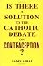 Is There a Solution to the Catholic Debate on Contraception?