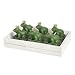 Kitchen & Housewares : Six Enchanted Frog Prince Tealight Candles
