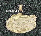 Univ Of Florida Gator Head 5/8 Charm/Pendant -14K/10K, Stainless Steel or Gold Plated