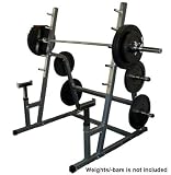 Valor Athletics Inc. BD - 5 Safety Squat / Bench Combo Rack
