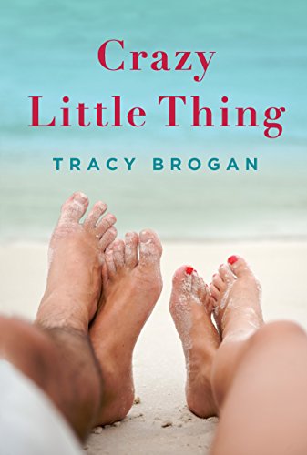 crazy little thing a bell harbor novel