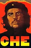 Che Guevara: A Revolutionary Life