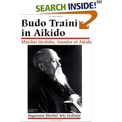 Budo Training in Akido (Best Karate)
