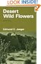 Desert Wild Flowers