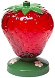 Perky Pet #260P 48OZ Strawberry Feeder