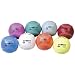 Champion Sports Weighted Training Softball Set With Nylon Carrying Case