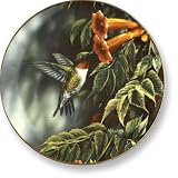 Wild Wings Songbird Plates - Summer Hummingbird - B0006U37Z4