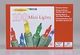 Celebrations 100 Mini Light Set