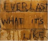 What It'S Like - Everlast
