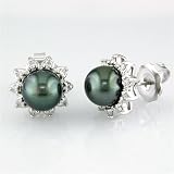 9mm Japanese Akoya Black Pearl and Diamond Earrings in 14k White Gold
