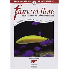 Faune et flore sous-marines de la M�diterran�e