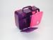 Kitchen & Housewares : DNC Sistema multi compartment Munch Box & Bottle Purple & Pink