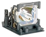 InFocus Replacement Lamp for Lp290 X540 Lp280 2000 Hours