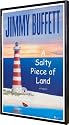 Jimmy Buffett 11"x17" Framed Poster