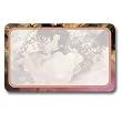 Dancers in Pink - Adhesive Name Badges (set of 25)