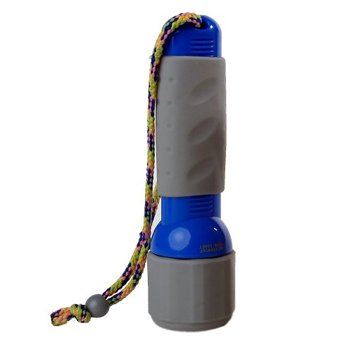 Childrens Toyshop  Photo : SNAP SIGHTS INWT-TORCHBLUE Blue Torch