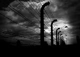 Auschwitz Birkenau - 18W x 13H - Peel and Stick Wall Decal by Wallmonkeys