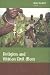 Book Religion and African Civil Wars