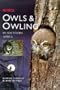 Owls & Owling in Southern Africa