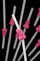 Pack of 12 Hen Party Willy Straws