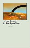 In Stahlgewittern