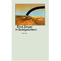 In Stahlgewittern