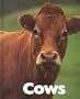 Cows (Naturebooks: Farm Animals)