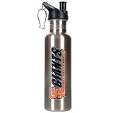 San Francisco Giants 26oz Stainless Steel Water Bottle (Silver)